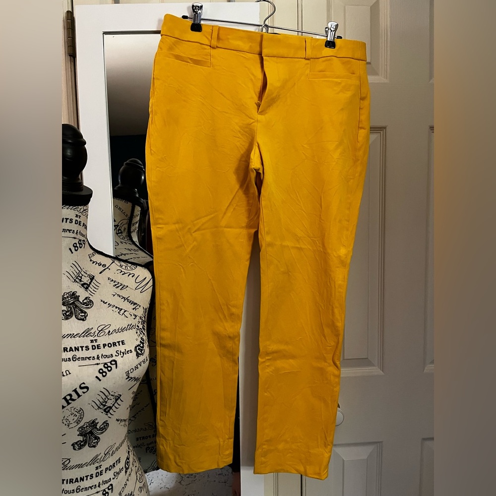 Banana Republic cropped ankle pants.